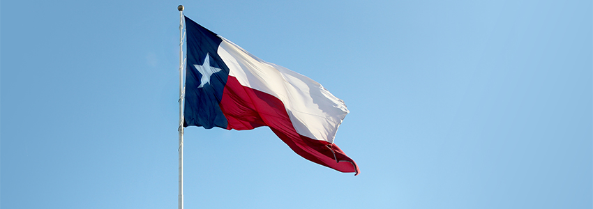 Texas Flag